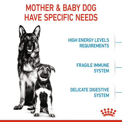 Royal Canin Maxi Starter Dry Dog Food