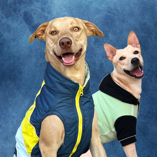 Dog Winter Sweatshirt | Dog Winter Jacket Combo for Cold Weather