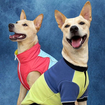 Dog Winter Sweatshirt | Dog Winter Jacket Combo for Cold Weather