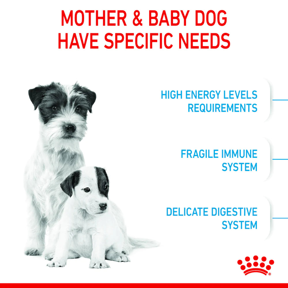 Royal Canin Mini Starter for Small Breed