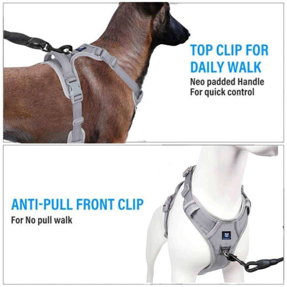 Dog Vest