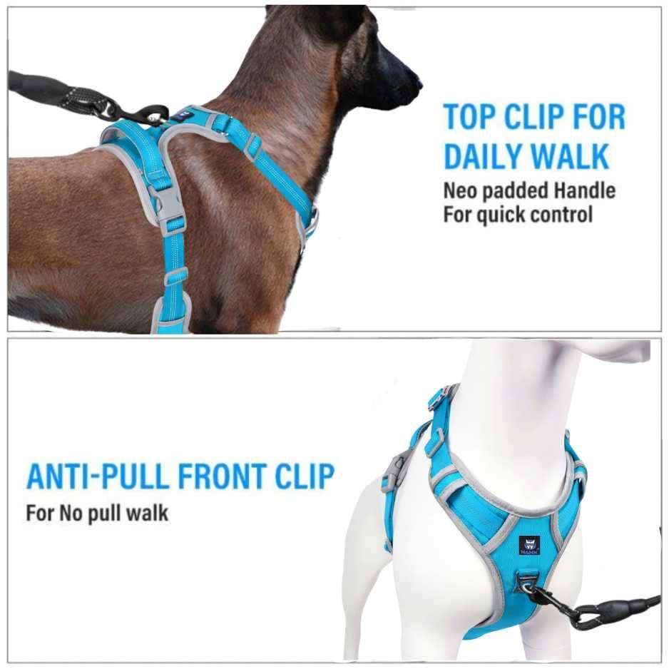 HANK No Pull 3M Reflective Dog Harness Sky Blue – HankPets HANK