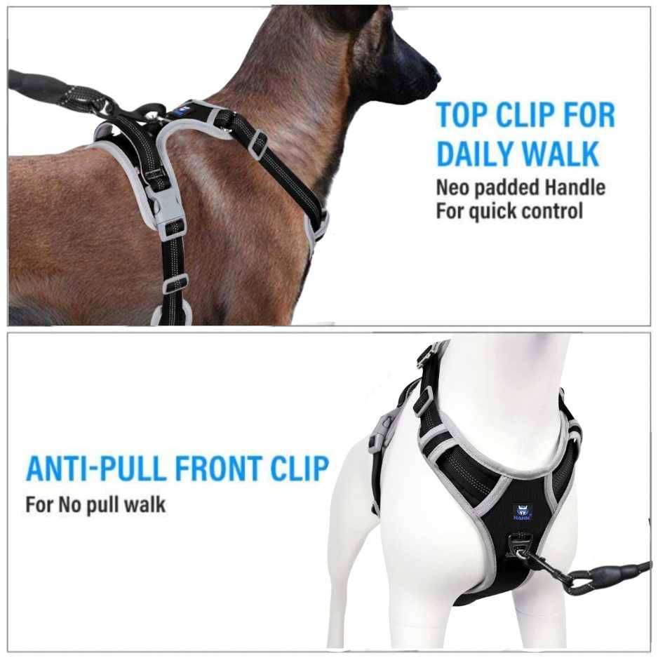Dog body belt