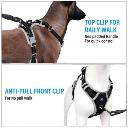 Dog body belt