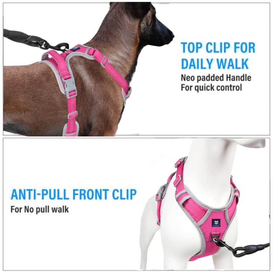 dog chest belt