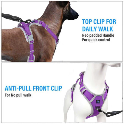 Dog Vest