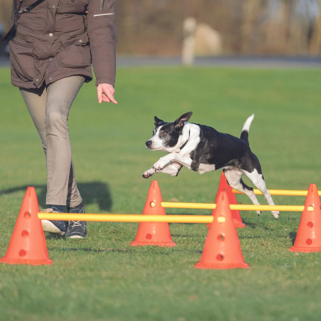 Trixie Dog Agility Training Kit | Adjustable Jump Poles For Dogs