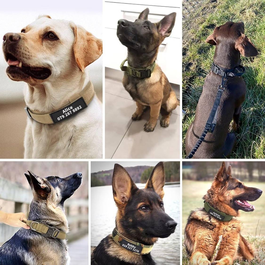 Personalized Tactical Dog Collar with Nameplate | Metal Buckle