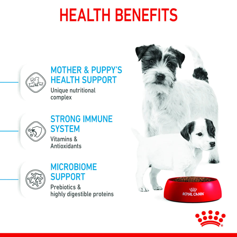 Royal Canin Mini Starter for Small Breed