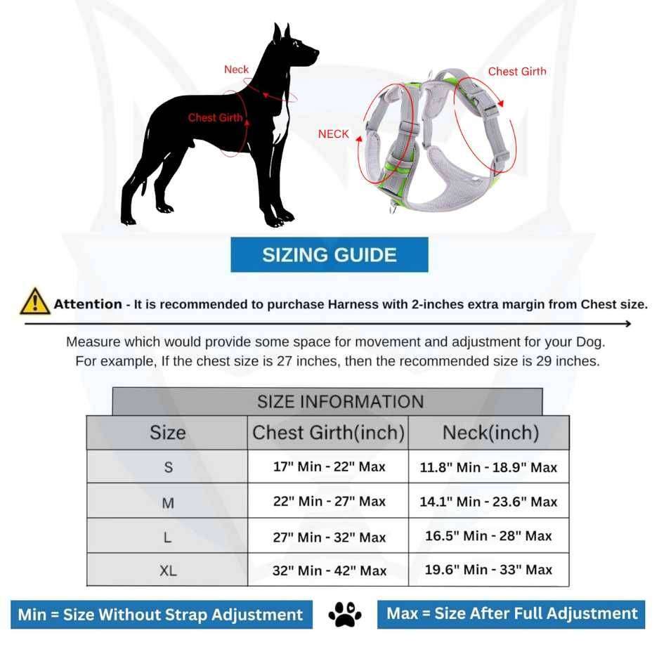 harness for dog