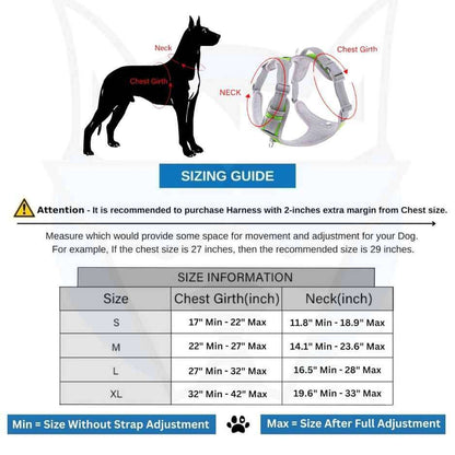 harness for dog