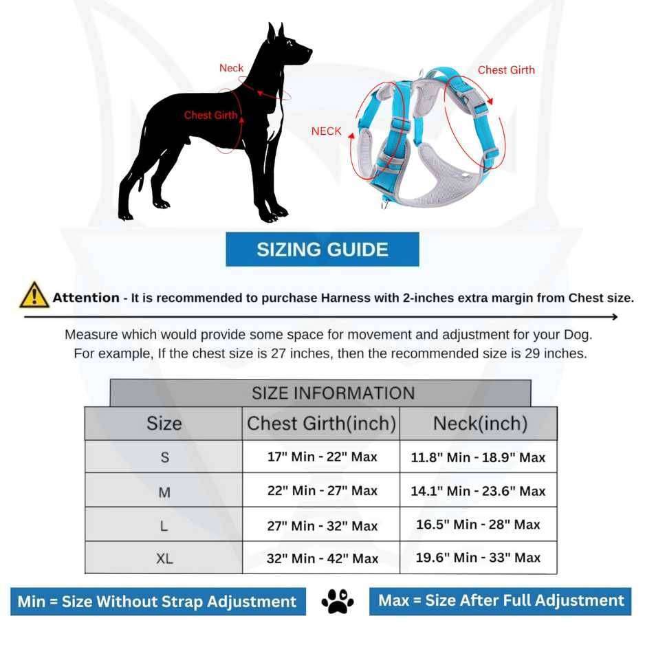 Dog body harness