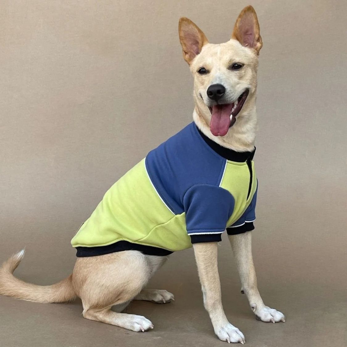 Dog Winter Sweatshirt | Dog Winter Jacket Combo for Cold Weather