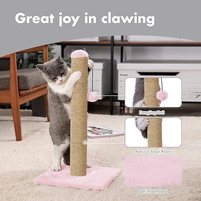 Cat Scratching Post Tree with Dangling Ball (16x16x16 in)