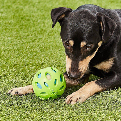 Dog Toy