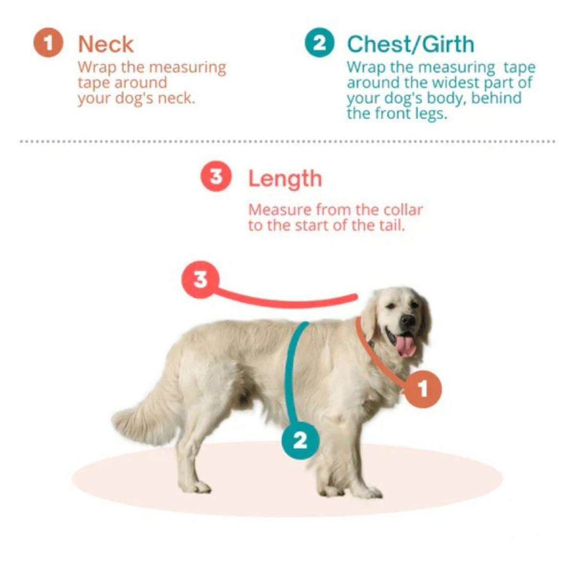 Dino Snug Hoodie for Dogs & Cats