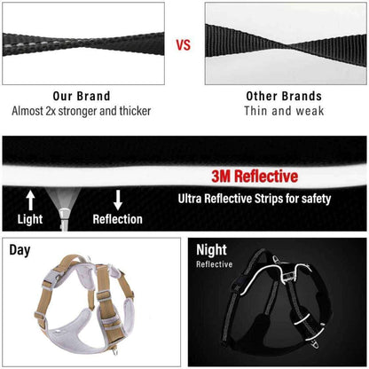 Hank Dog Harness