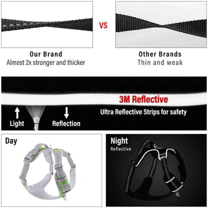 Dog body belt