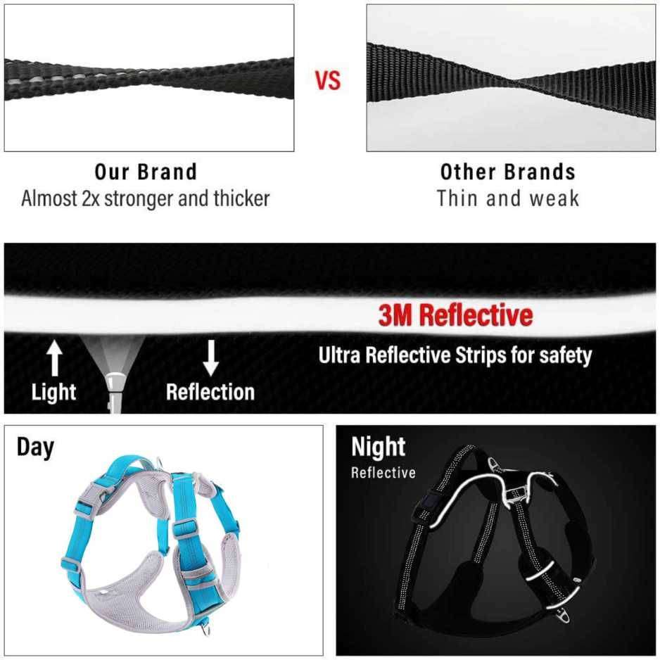 Dog body belt