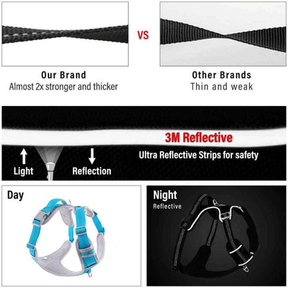 Dog body belt