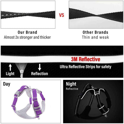 Hank Dog Harness