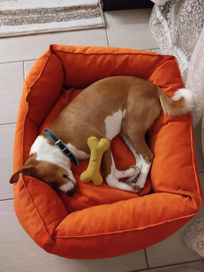 Pet Bed