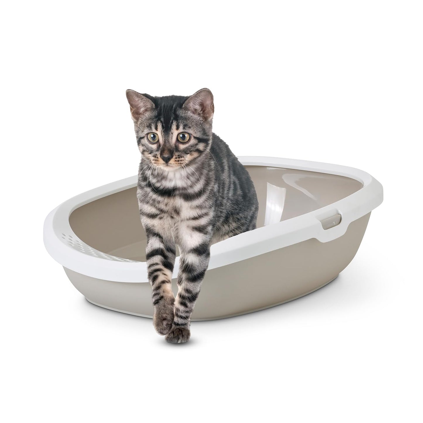 Gizmo Cat Litter Tray with Raised Rim for Cats & Kittens