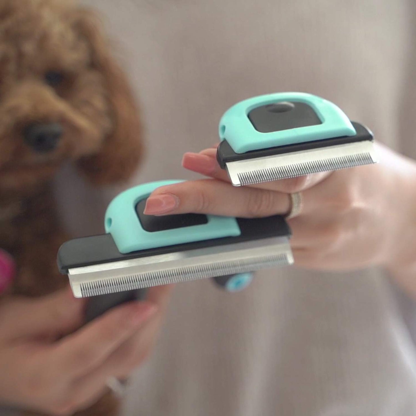 Hank Dog Brush