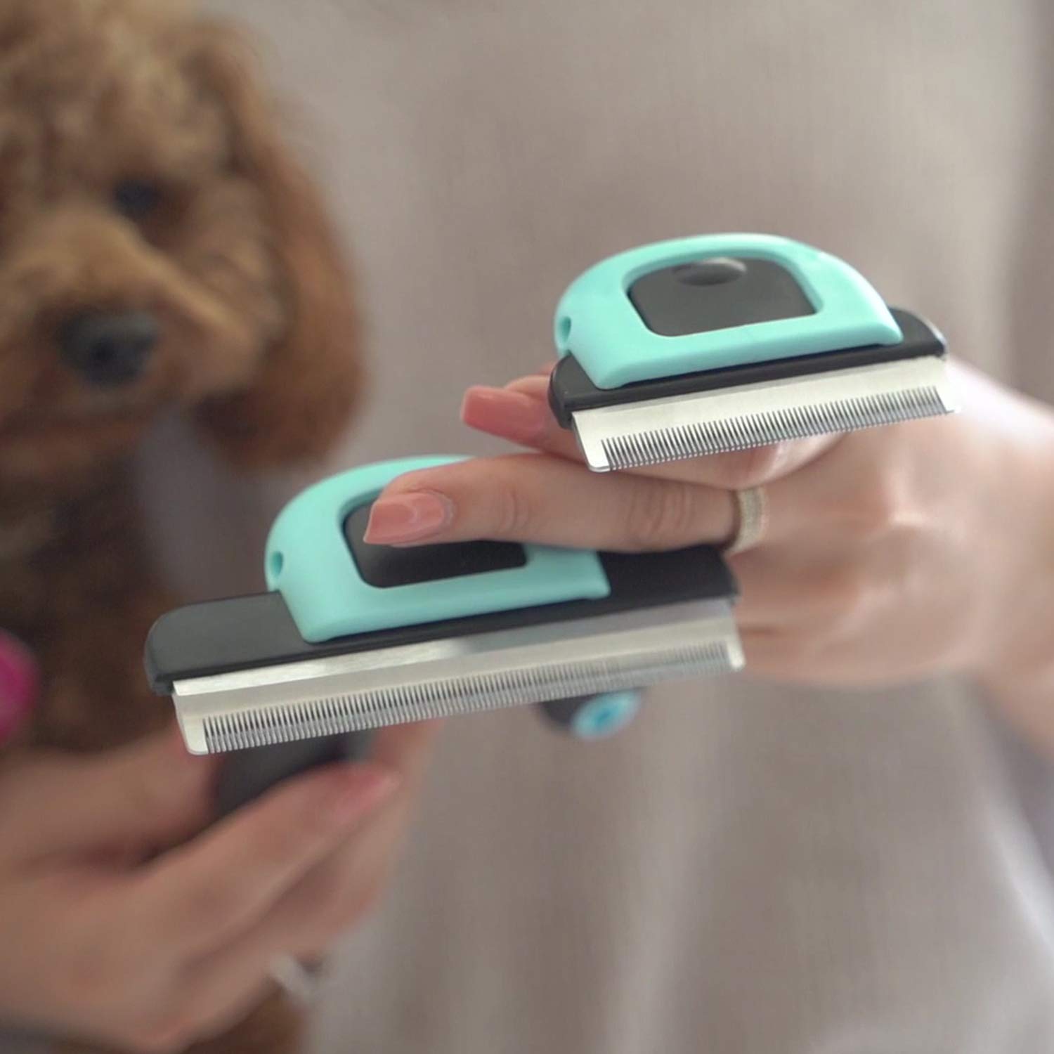Hank Dog Brush
