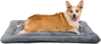 Dog Matt HANK