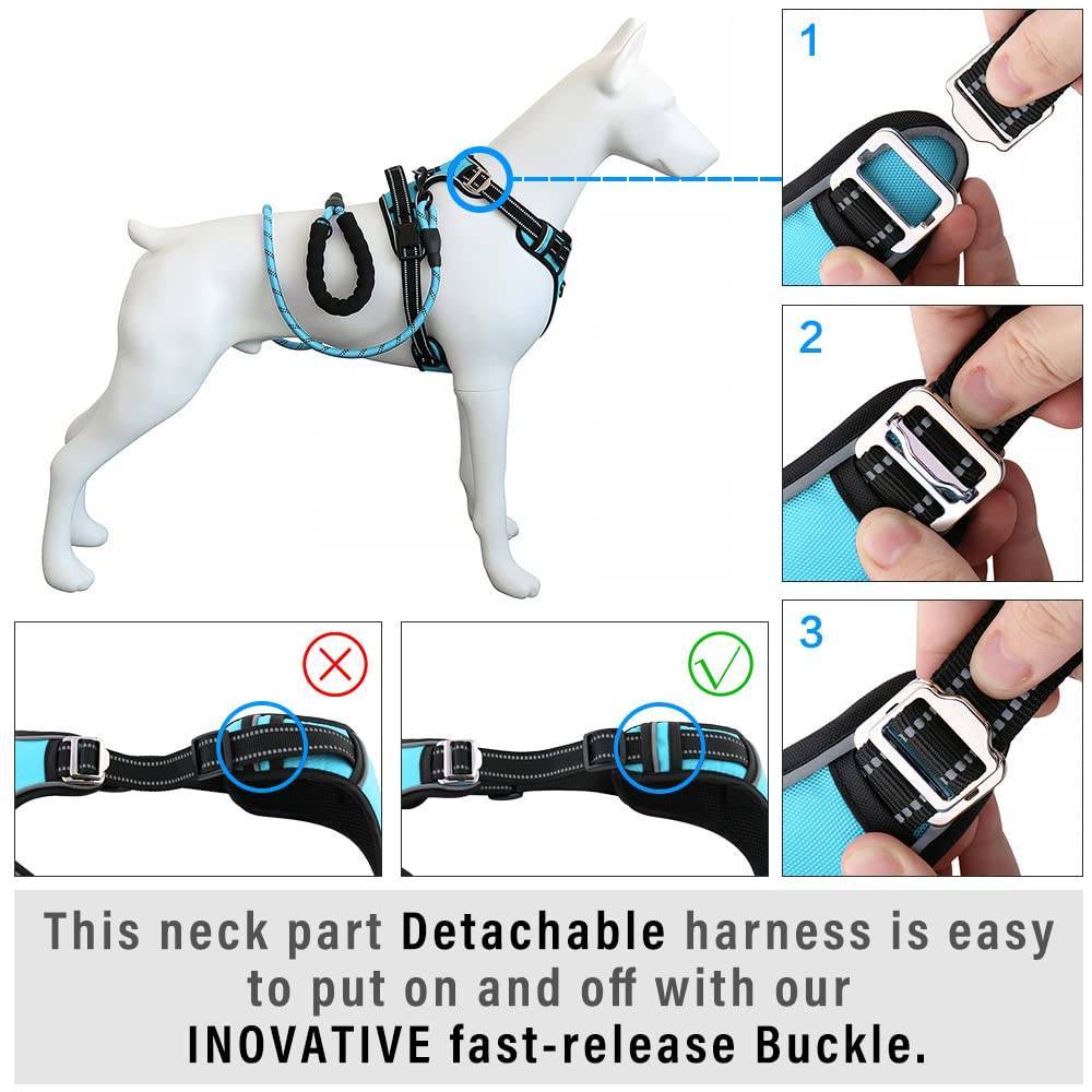 Hank Dog Harness Cyan Blue