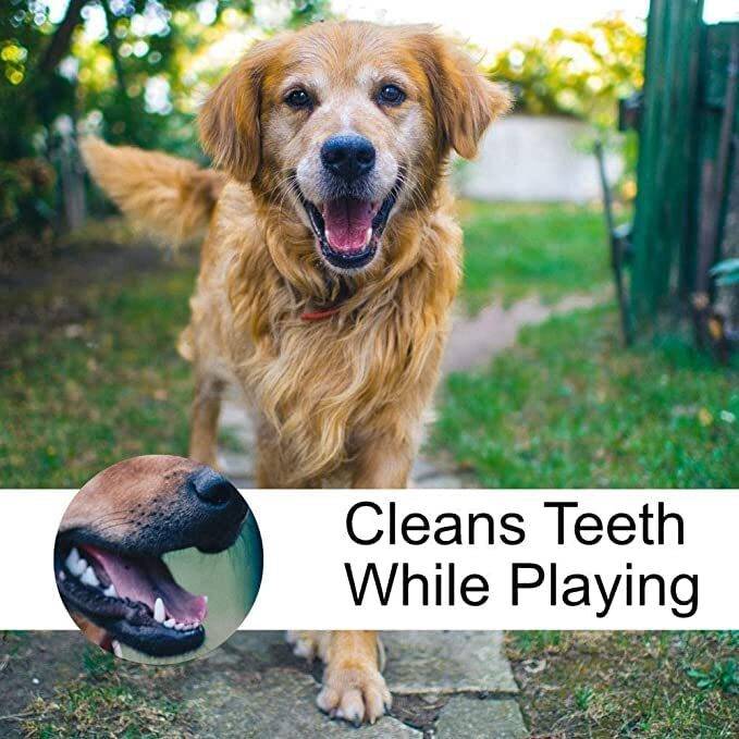 Dog Toys For Puppies