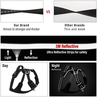 Hank Black Harness For Dog