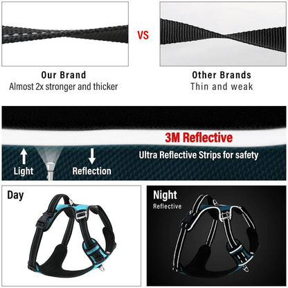 Hank Cyan Blue Dog Harness