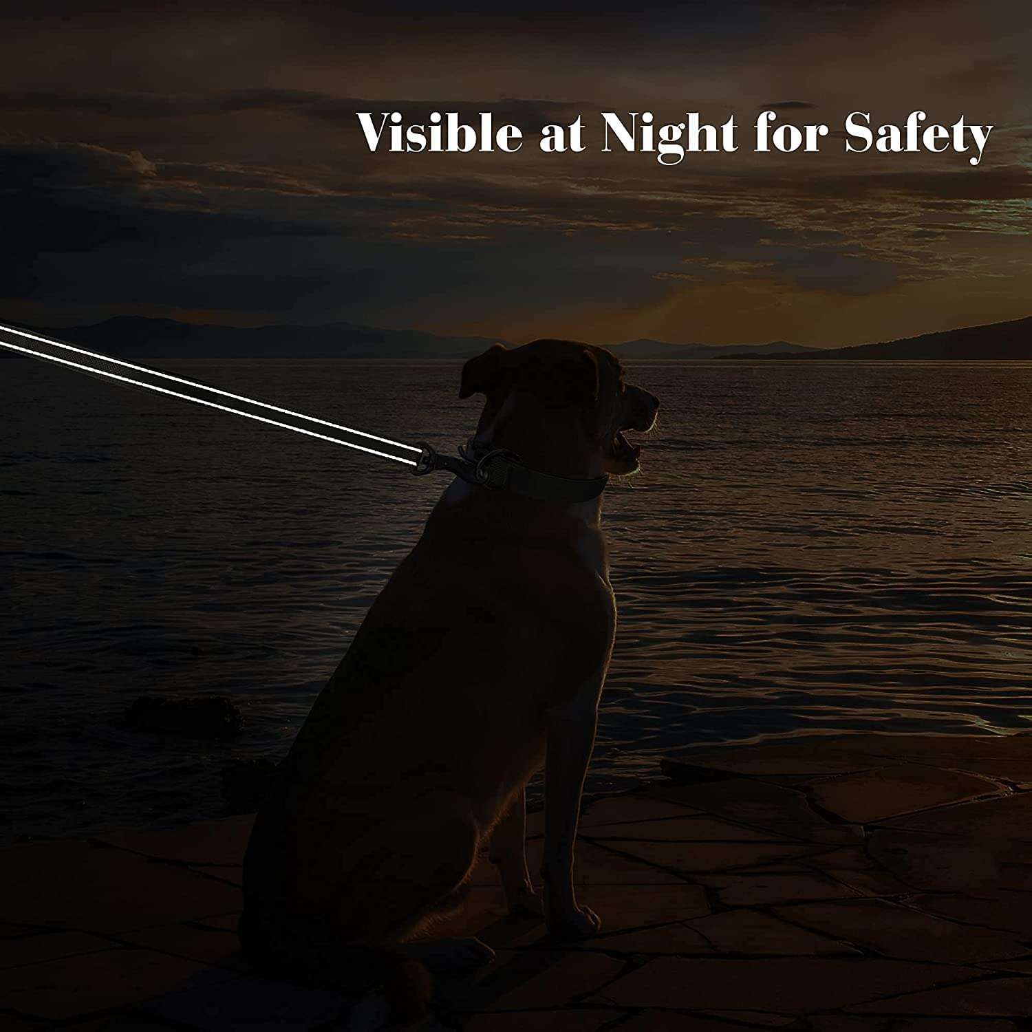 Dog Leash Black