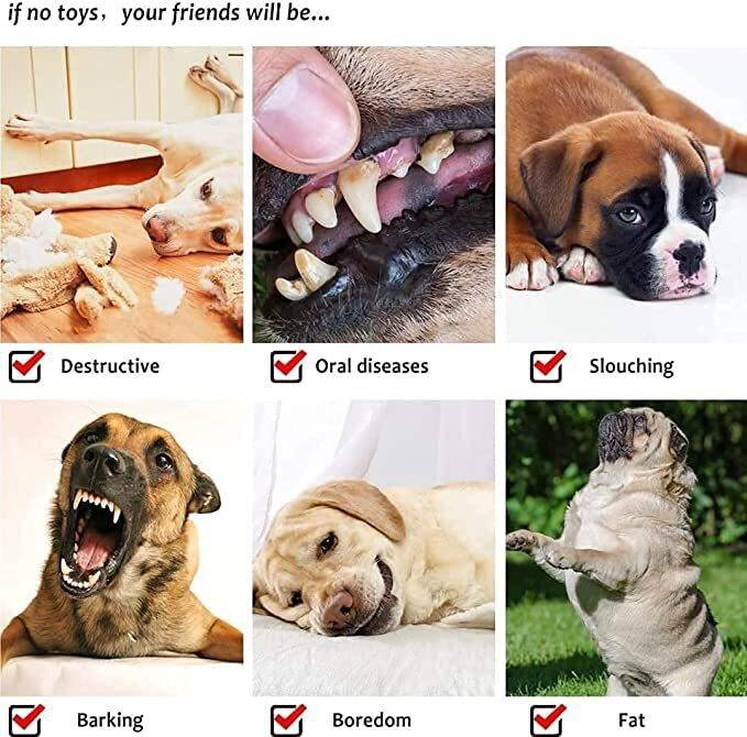 Dog Rope Toy