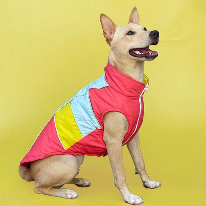 Dog Winter Sweatshirt | Dog Winter Jacket Combo for Cold Weather