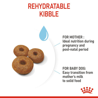 Royal Canin Maxi Starter Dry Dog Food