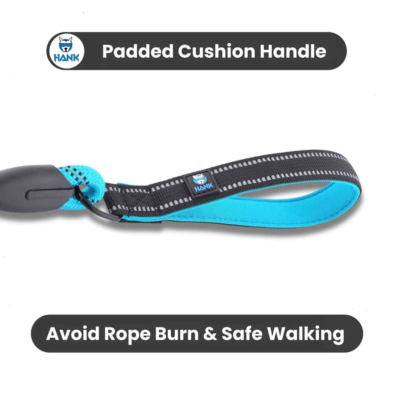 Dog Leash Blue