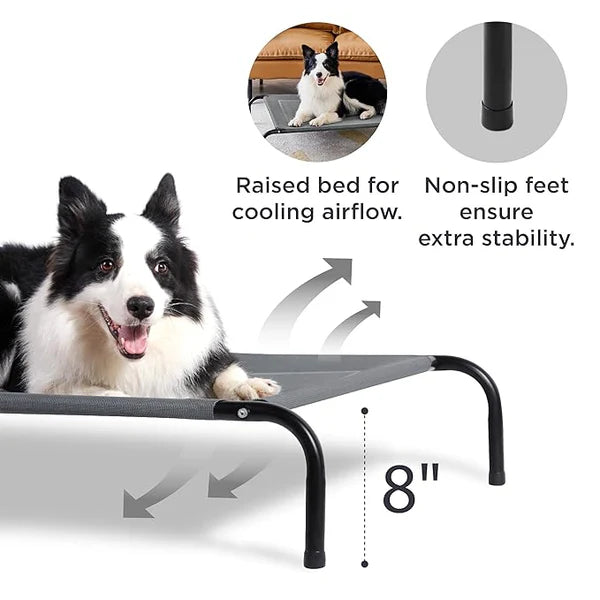 Elevated Dog Bed – Breathable Mesh & Metal Frame, Indoor/Outdoor Use