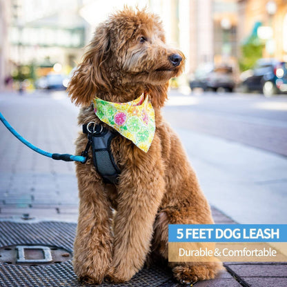 Hank Leash For Dog