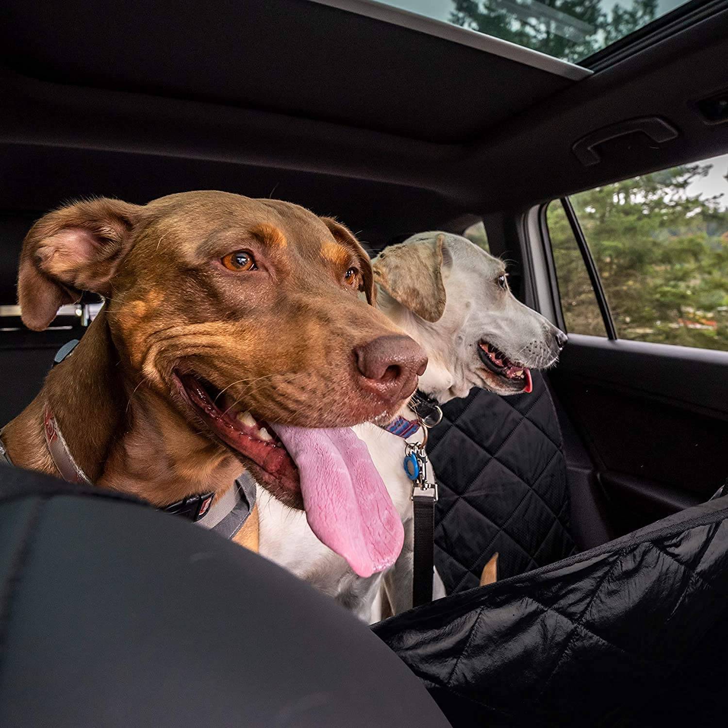 Pet Car Sheet Cover Waterproof