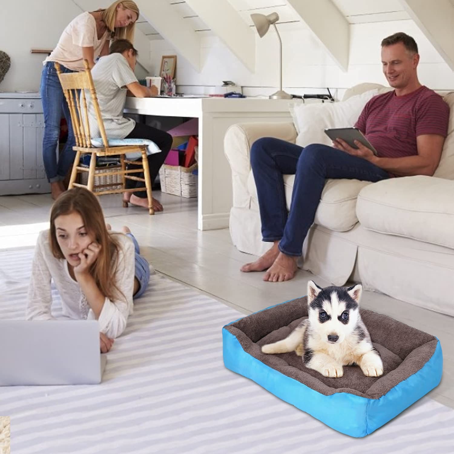 Dog Bed