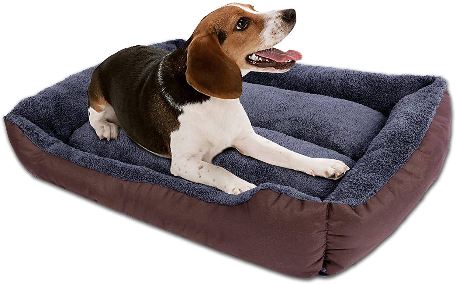 HANk Dog Beds Online