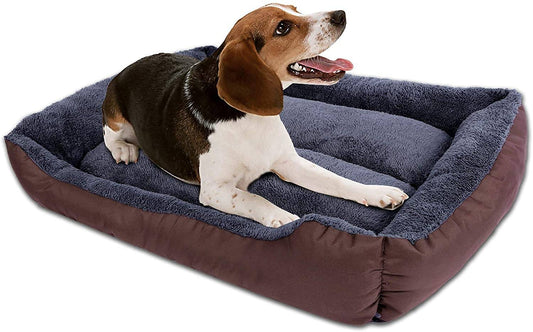 HANk Dog Beds Online