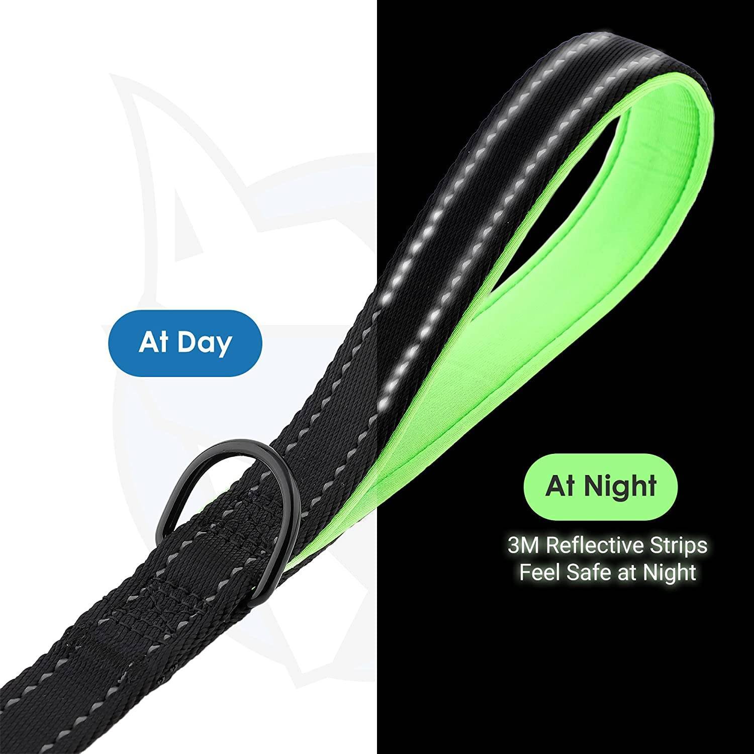 Hank Green Dog Leash