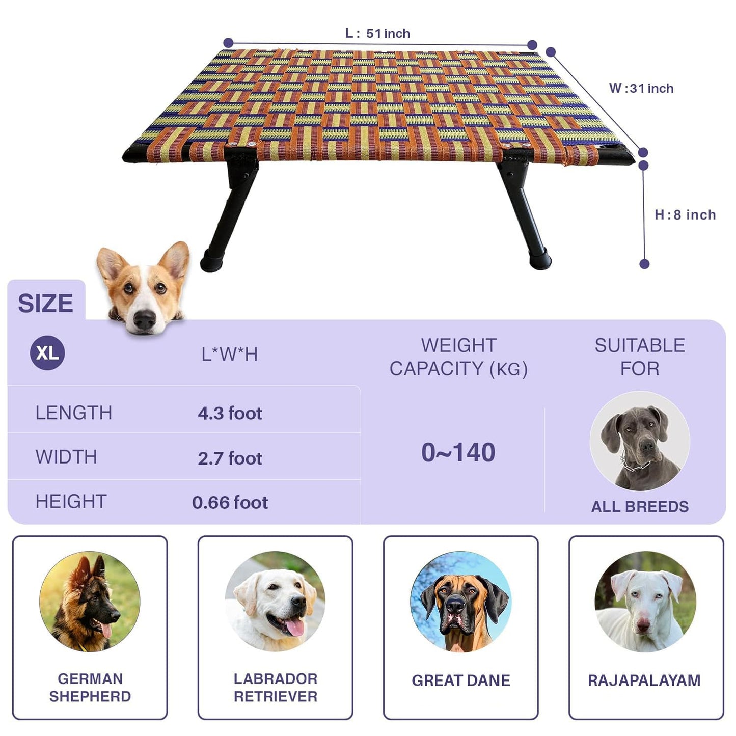 Folding Elevated Cat & Dog Bed | All Seasons Comfort with Breathable Nylon Mesh I Anti-Skid & Waterproof