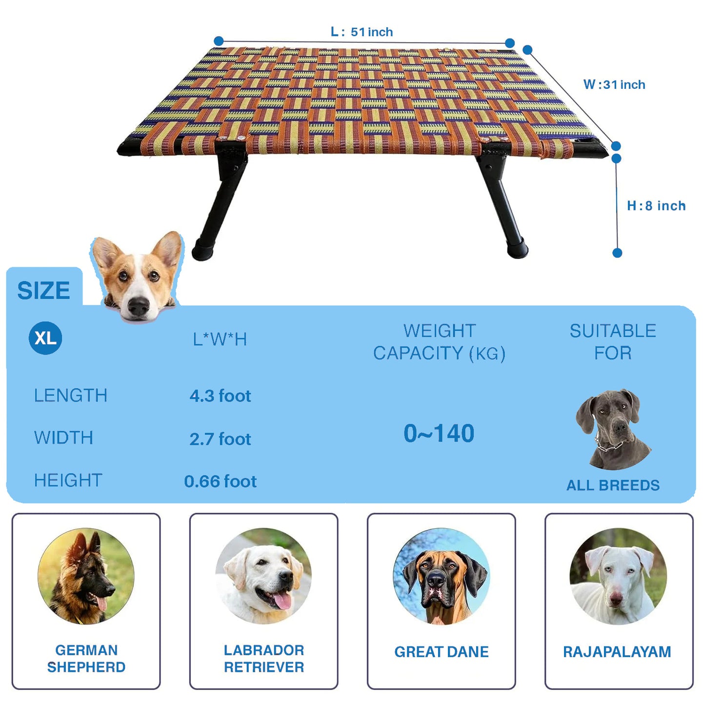 Folding Elevated Cat & Dog Bed | All Seasons Comfort with Breathable Nylon Mesh I Anti-Skid & Waterproof