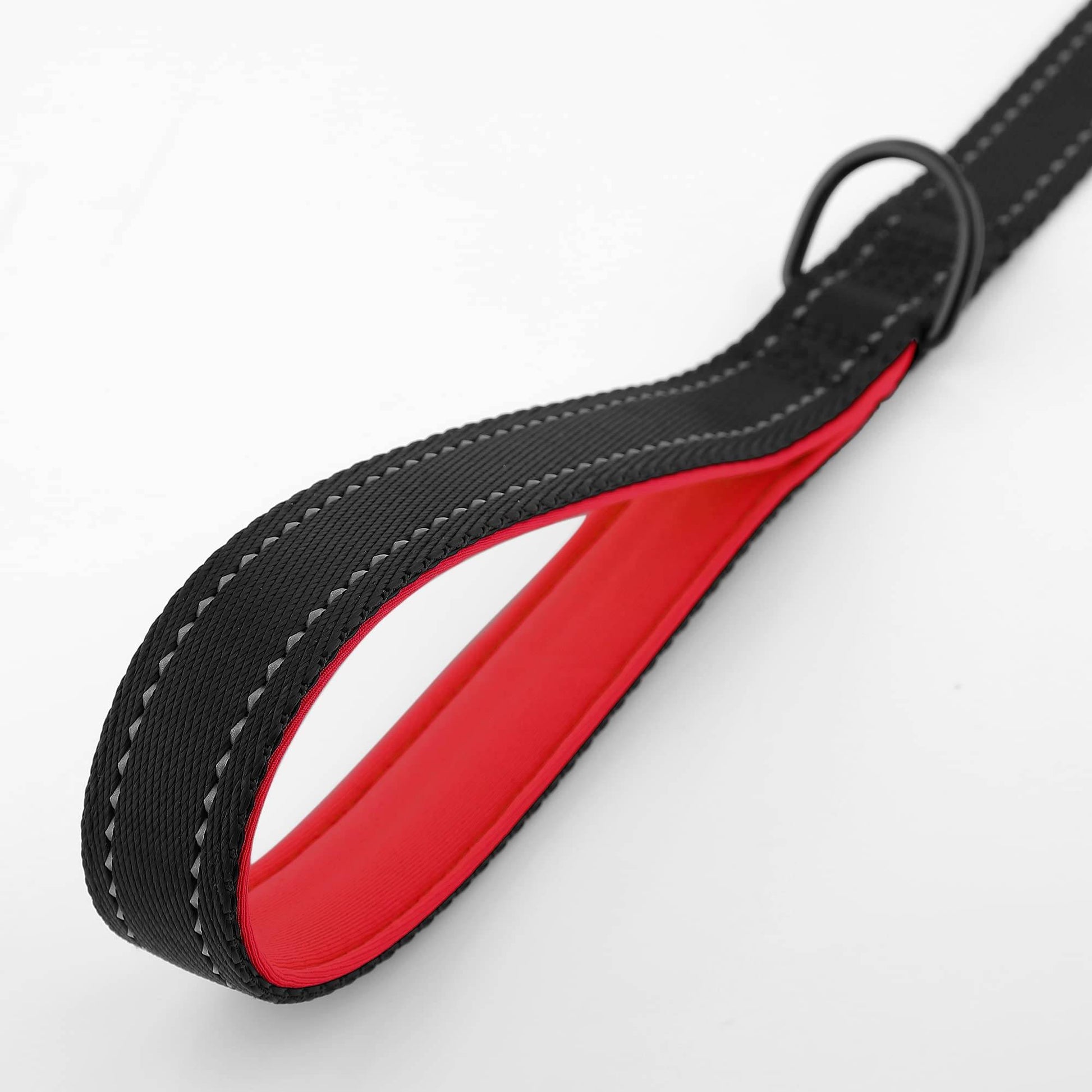 Dog Leash