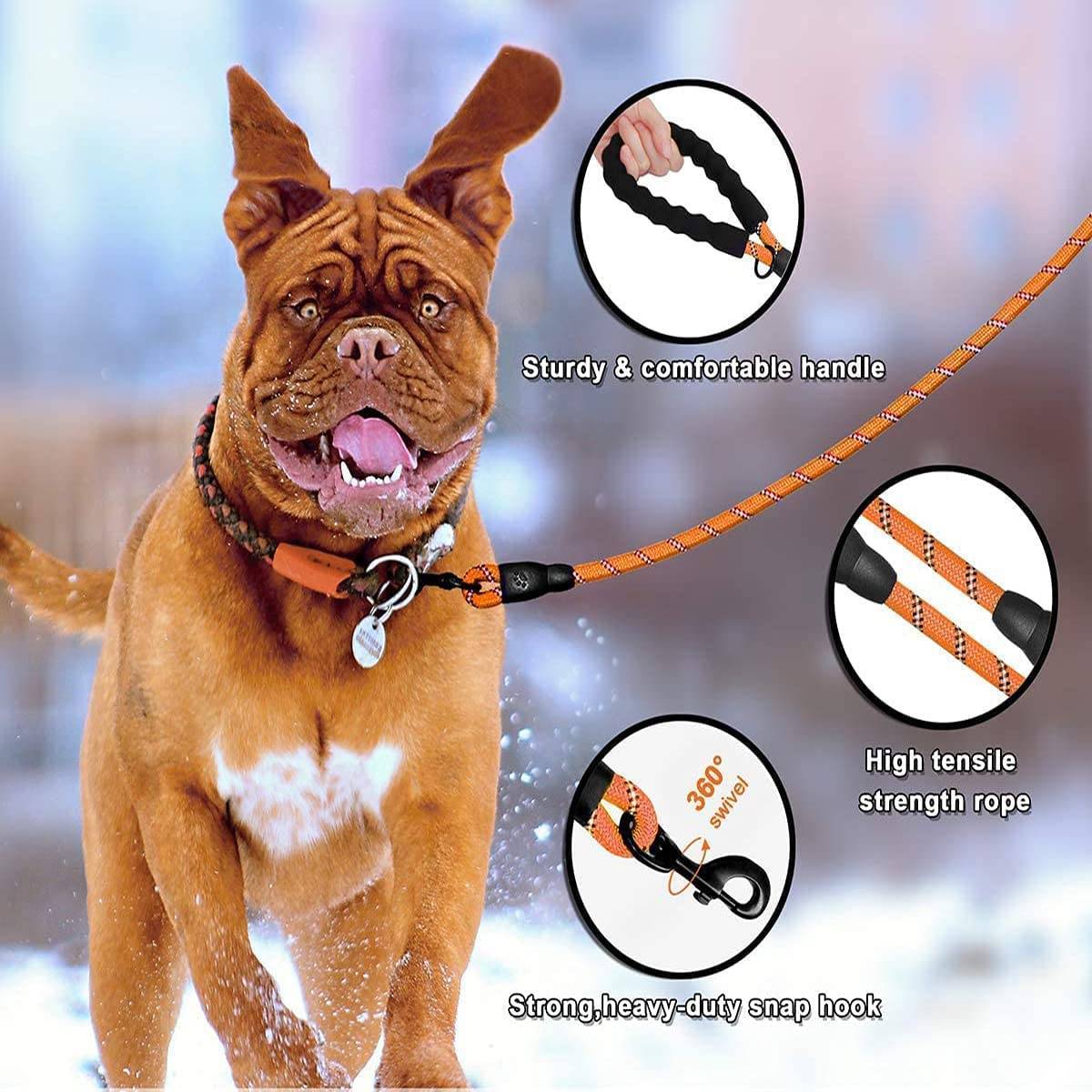 Hank Leash Orange For Dog